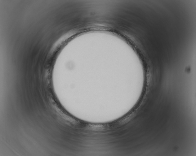 X0000115711402200912241534