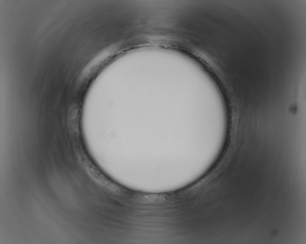 X0000115711403200912241534