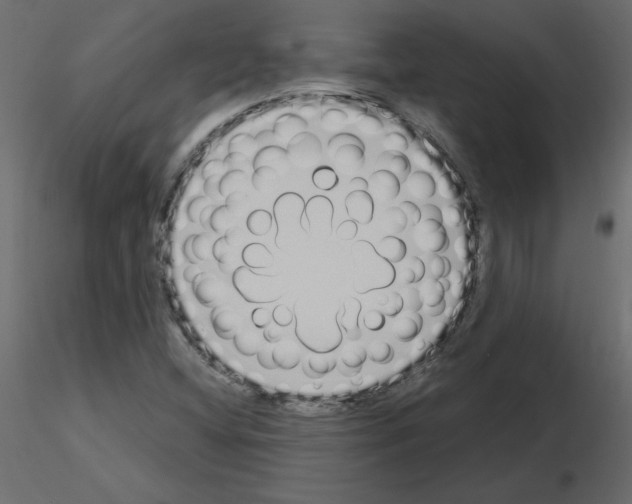 X0000115711404200912241534