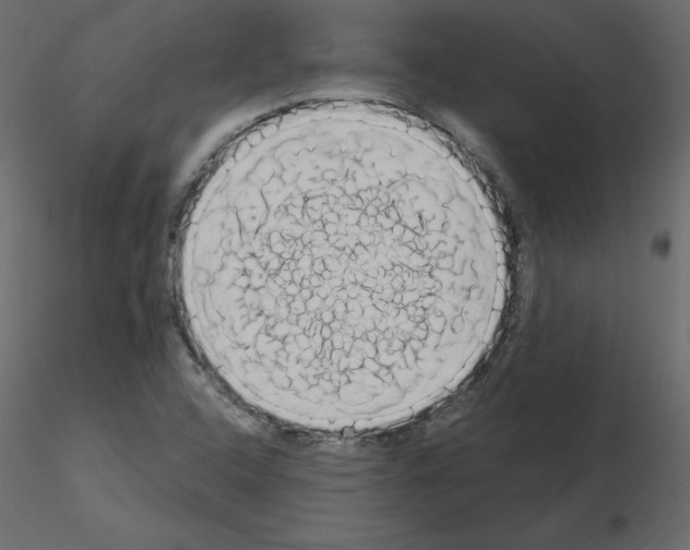 X0000115711408200912241534