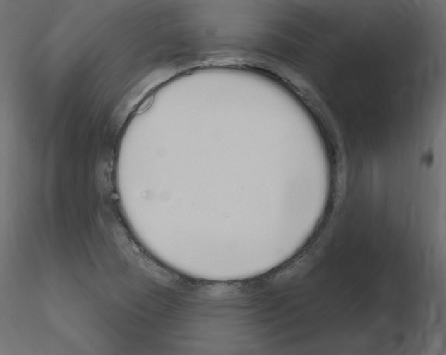 X0000115711409200912241534