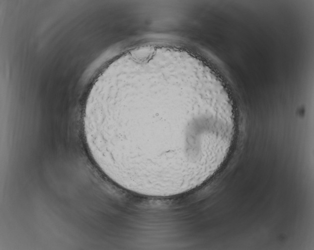 X0000115711411200912241534