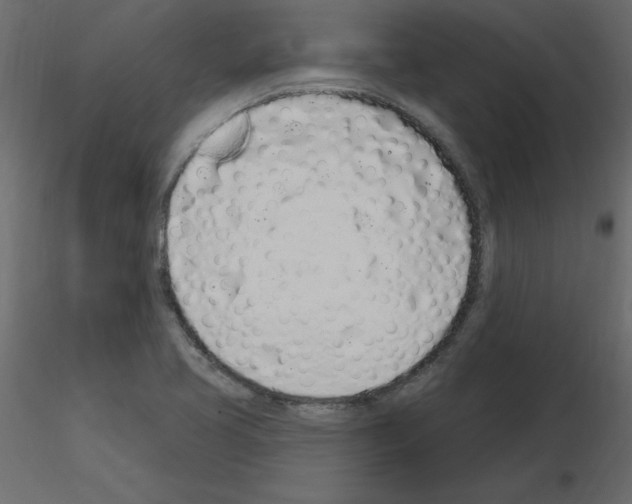 X0000115711413200912241534