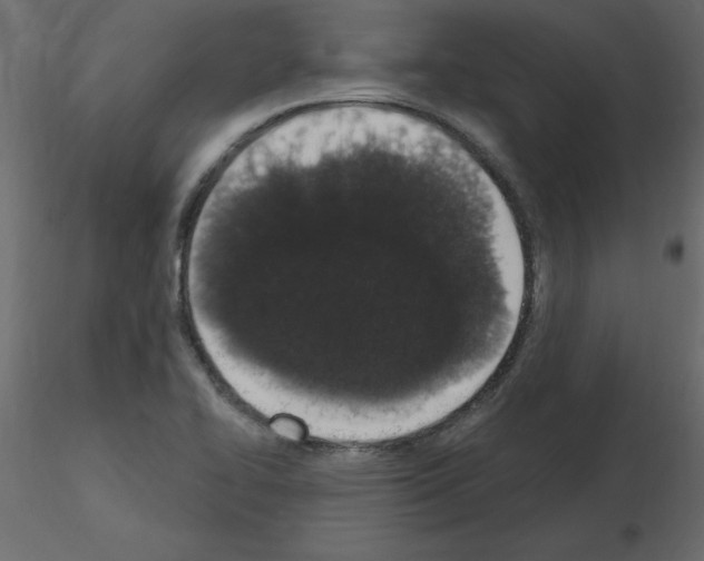 X0000115711414200912241534