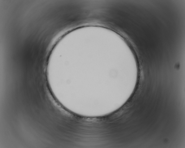 X0000115711416200912241534