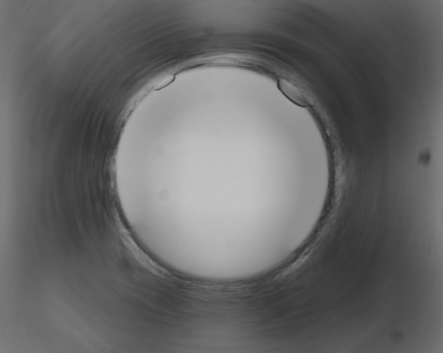 X0000115711417200912241534