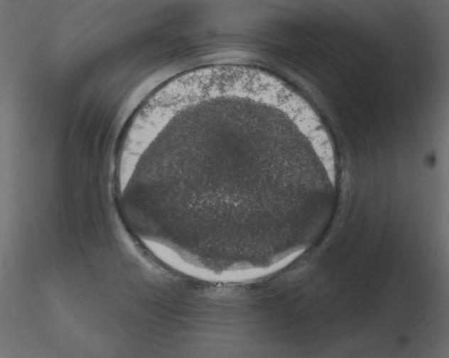 X0000115711418200912241534