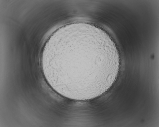 X0000115711419200912241534