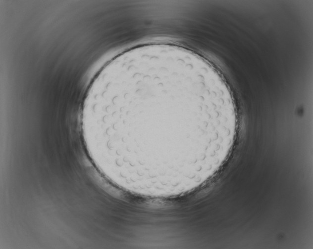 X0000115711420200912241534