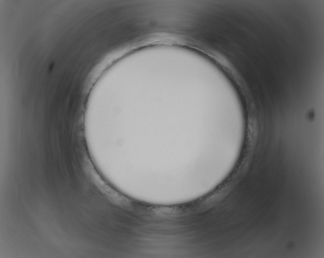 X0000115711421200912241534