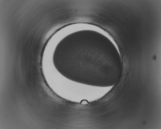 X0000115711422200912241534