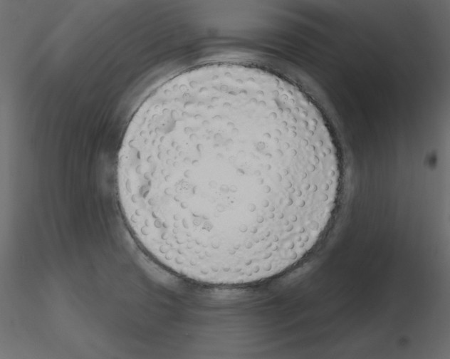 X0000115711425200912241534