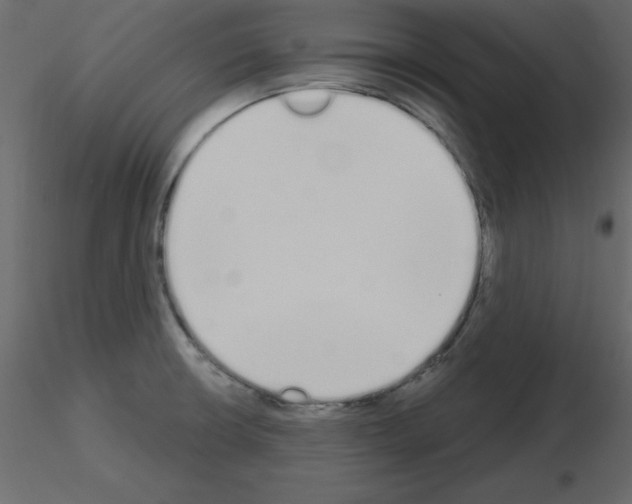 X0000115711426200912241534