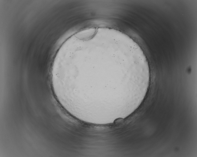 X0000115711427200912241534