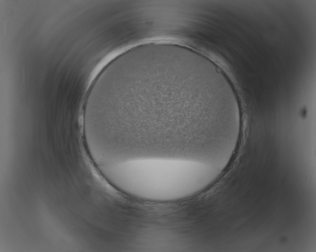 X0000115711428200912241534