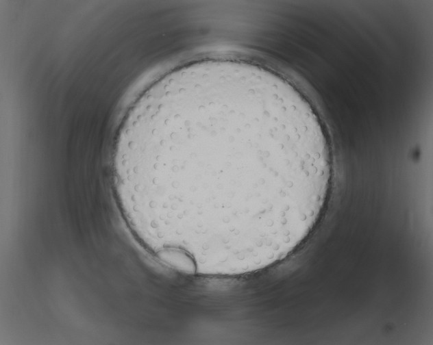 X0000115711429200912241534