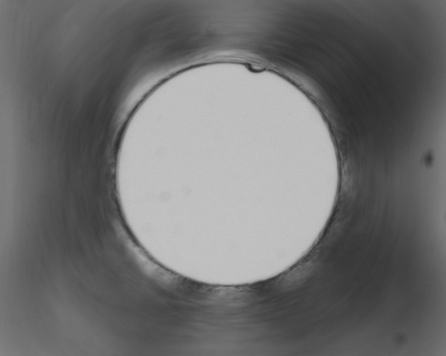 X0000115711430200912241534