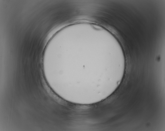 X0000115711431200912241534