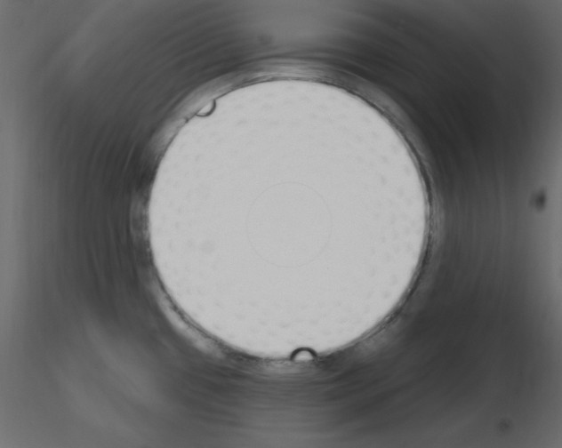 X0000115711433200912241534