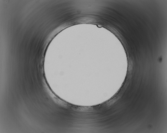 X0000115711434200912241534