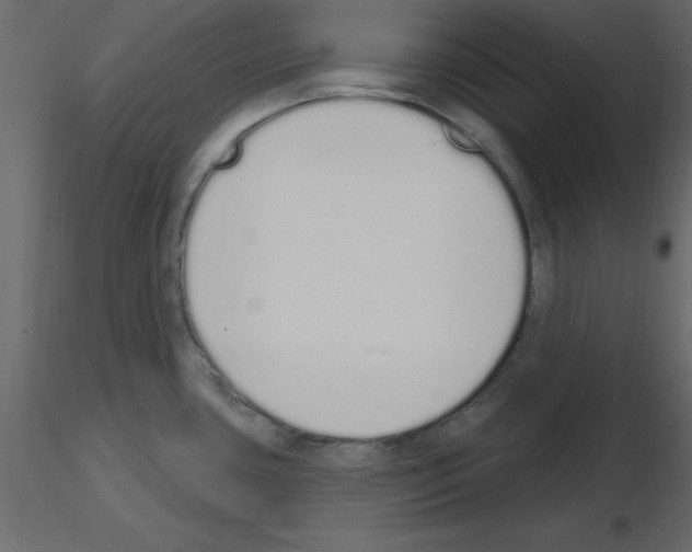 X0000115711435200912241534