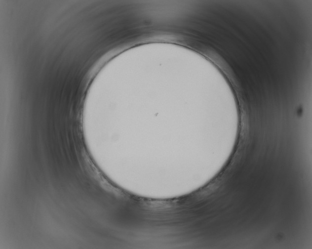 X0000115711436200912241534