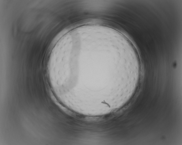 X0000115711437200912241534