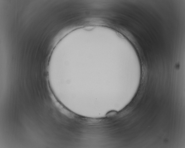 X0000115711439200912241534