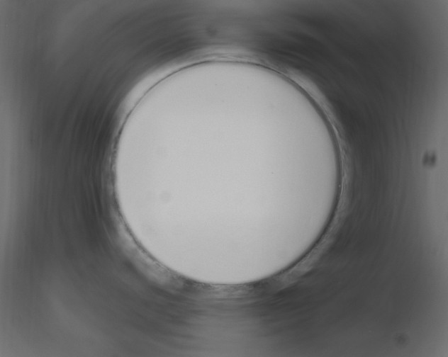 X0000115711440200912241534