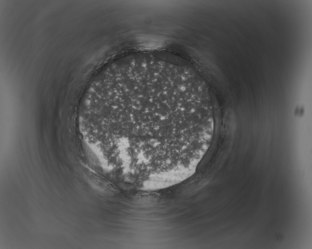 X0000115711441200912241534