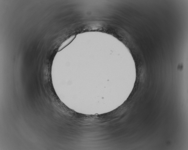 X0000115711442200912241534