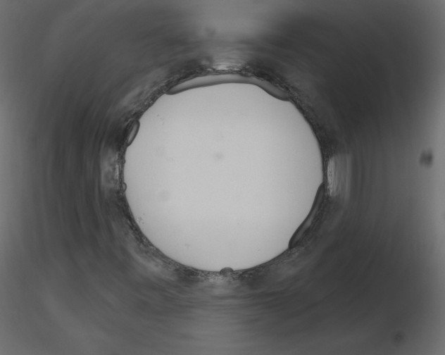 X0000115711443200912241534