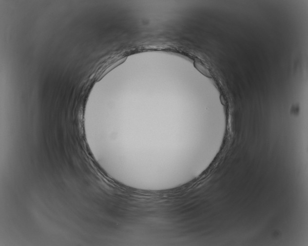 X0000115711444200912241534