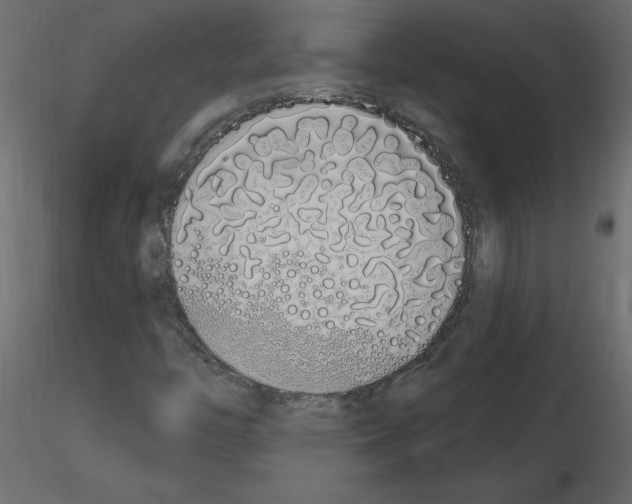 X0000115711446200912241534