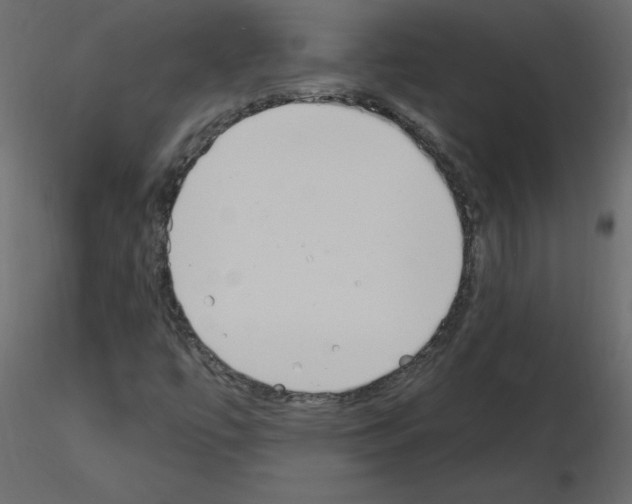 X0000115711447200912241534