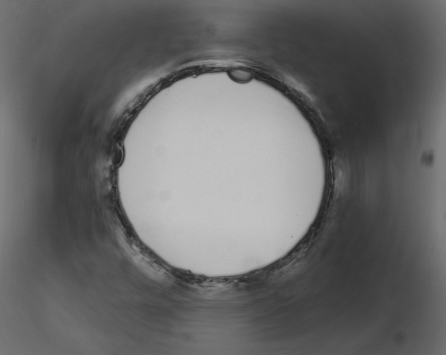 X0000115711448200912241534