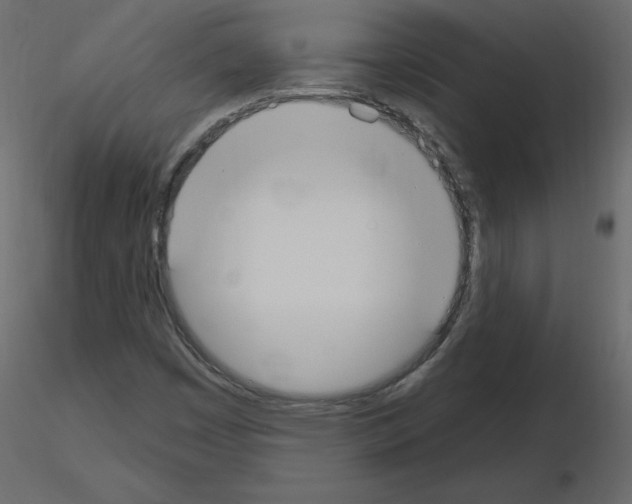 X0000115711449200912241534