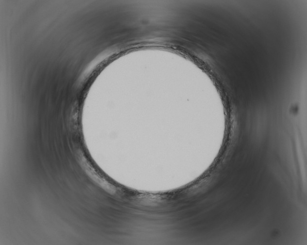 X0000115711450200912241534