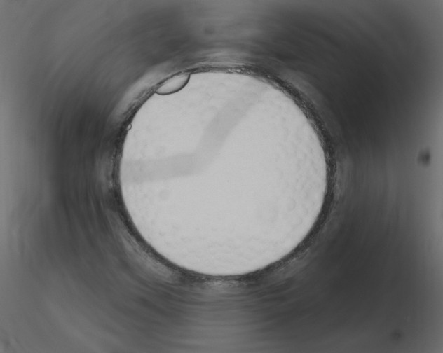 X0000115711451200912241534