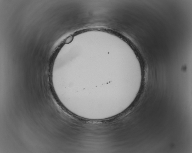 X0000115711452200912241534