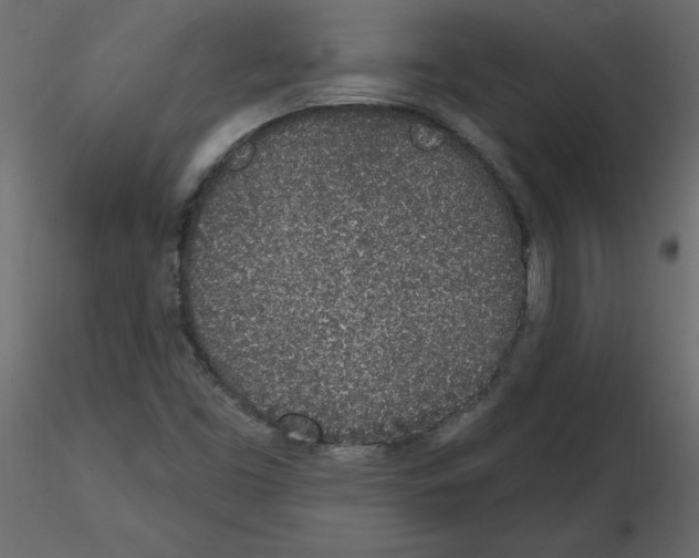 X0000115711453200912241534