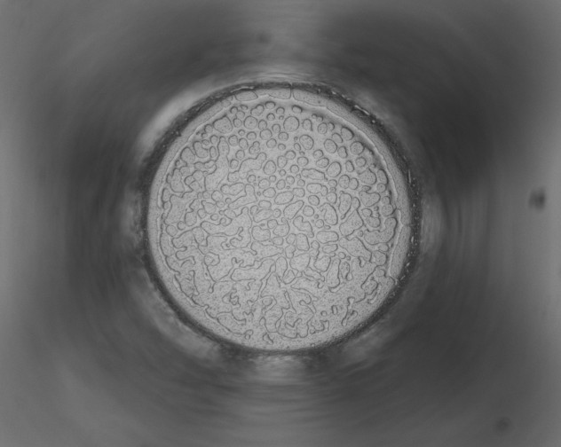 X0000115711454200912241534