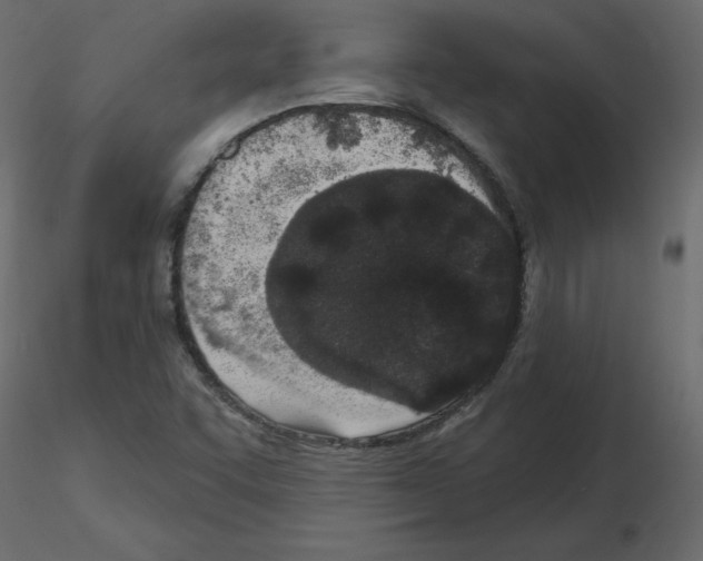 X0000115711455200912241534