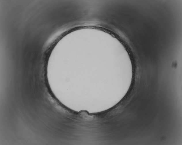 X0000115711456200912241534