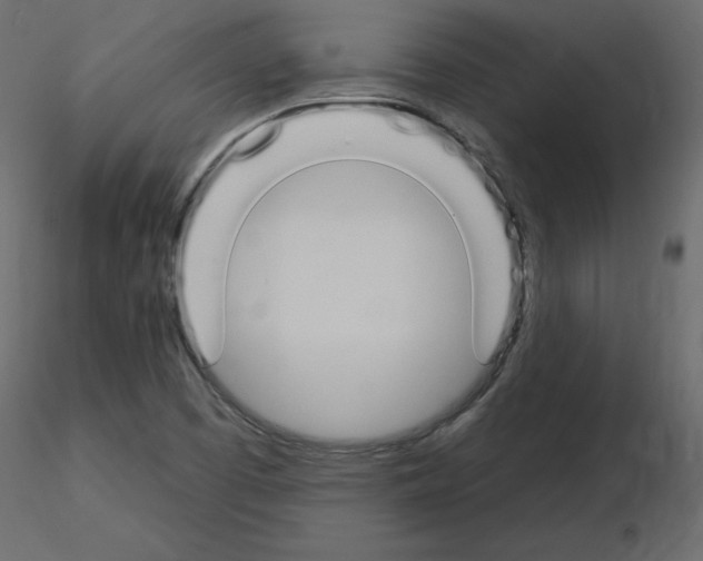 X0000115711457200912241534