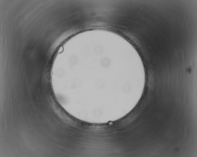 X0000115711458200912241534