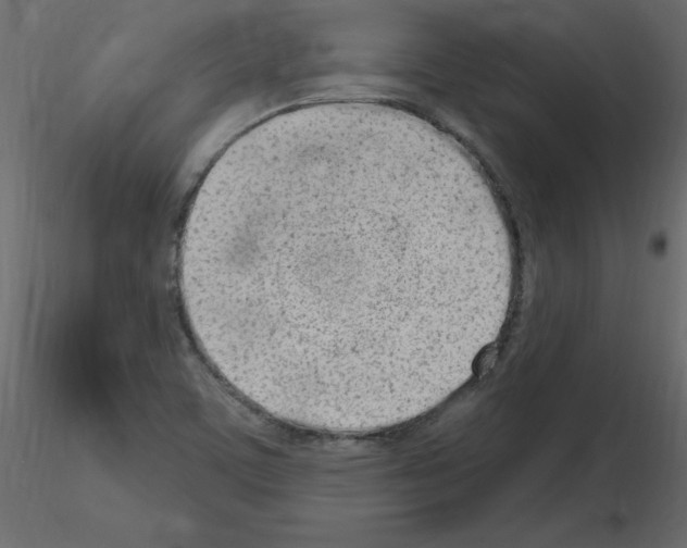 X0000115711459200912241534