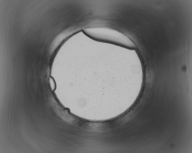 X0000115711461200912241533