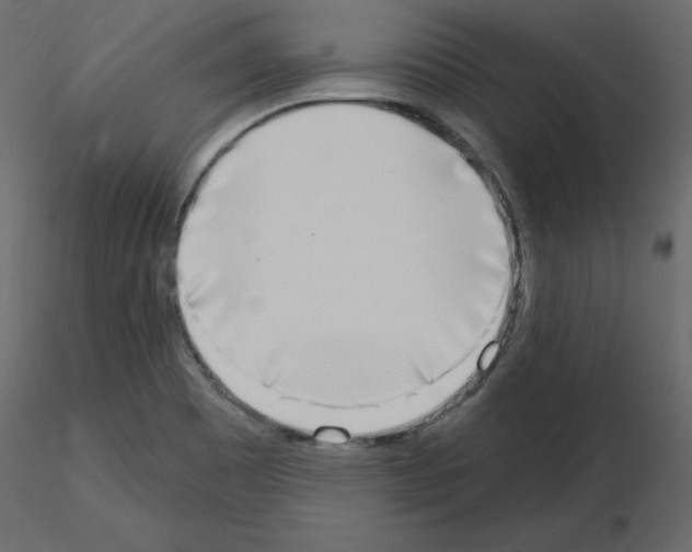 X0000115711465200912241533