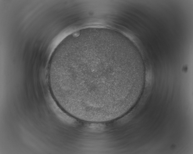 X0000115711466200912241533